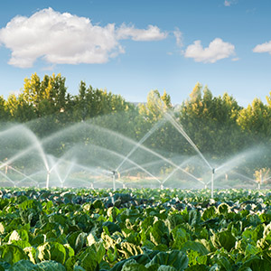 Agriculture and irrigation